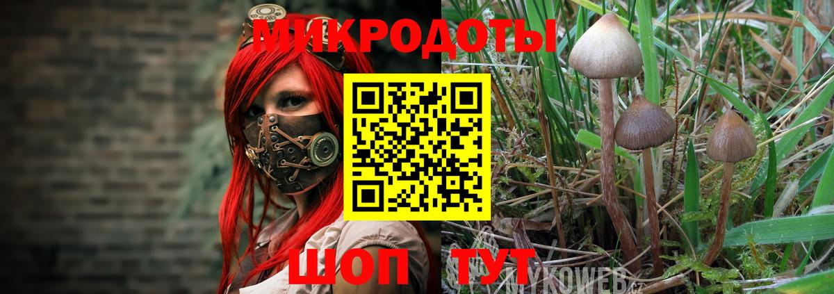 Галлюциногенные грибы мицелий  Вход с VPN  Солнечногорск 